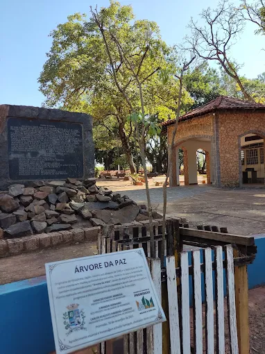 árvore da paz