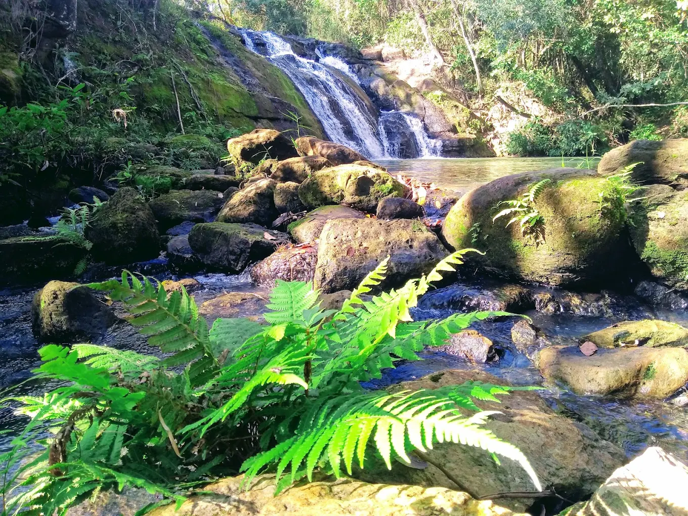 Cachoeiras do Gurupá